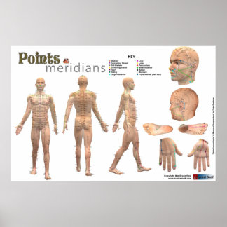 Poster Points et méridiens du corps - Annoté