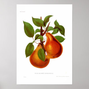 Poster Poire Beurre Durondeau