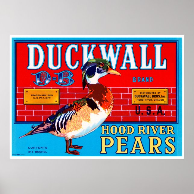 Poster Poires de la rivière Ducwall Hood (Devant)