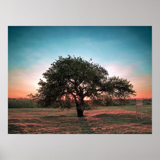 Poster Poirier solitaire (Devant)