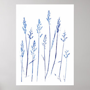 Poster pois bleu marine feuilles herbe herbe graine arts