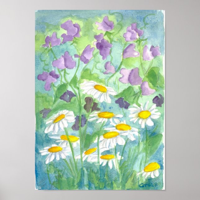 Poster Pois doux à la lavande Shasta Daisy Aquarelle (Devant)