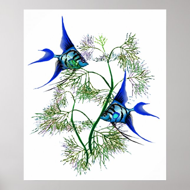 Poster Poisson-ange bleu en Plante (Devant)