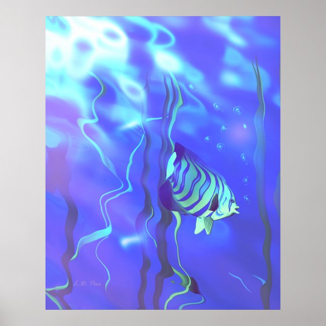Poster Poisson-ange Bleus (Devant)