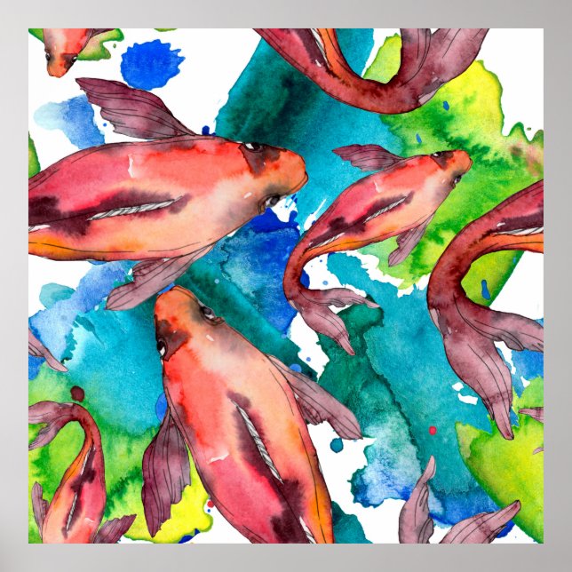 Poster Poisson aquatique. Mer rouge et poissons exotiques (Devant)