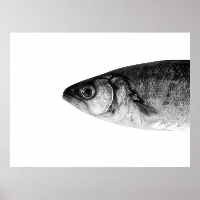 Poster Poisson, art (Devant)