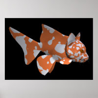 Poisson blanc-orange