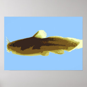 Poster Poisson-chat de Madtom de têtard