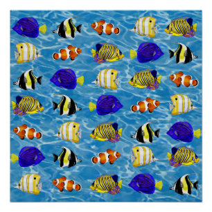 Poster Poisson coloré