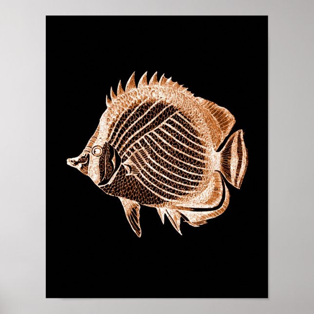 Poster Poisson côtier mer mer mer noir (Devant)