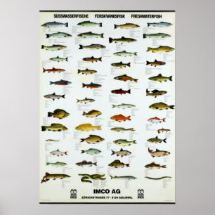 Poster Poisson d'eau douce Repro Vintage. Imprimer