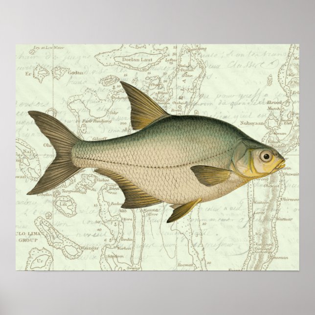 Poster Poisson d'eau douce sur la carte (Devant)