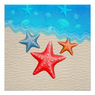 Poster Poisson D'Écaille Et Coquillages