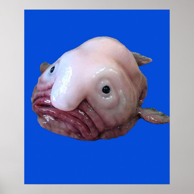 Poster Poisson en fleur (Devant)