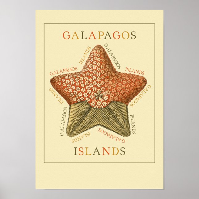 Poster Poisson étoile des îles Galapagos (Devant)