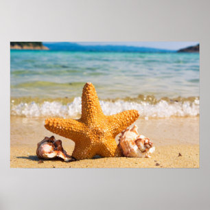 Poster Poisson étoilé et coquillages sur la plage