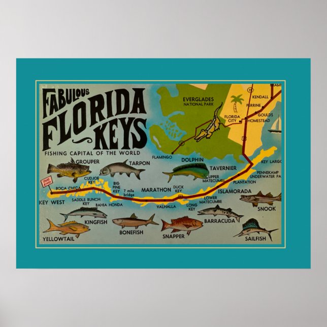 Poster Poisson Florida Keys (Devant)