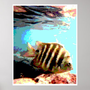 Poster Poisson hawaïen