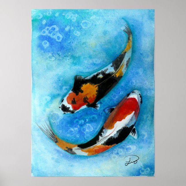 Poster poisson koi (Devant)