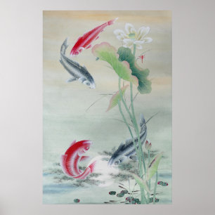 Poster Poisson Koi avec Lotus