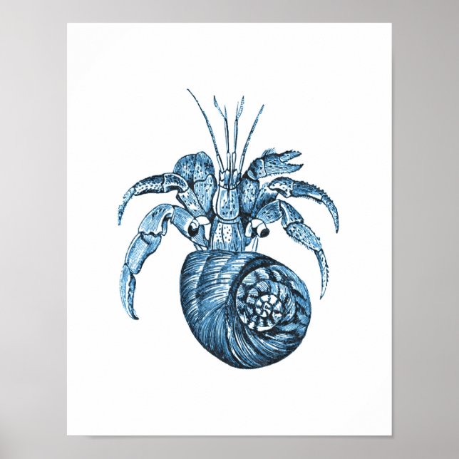 Poster Poisson littoral mer mer bleu marine mer (Devant)