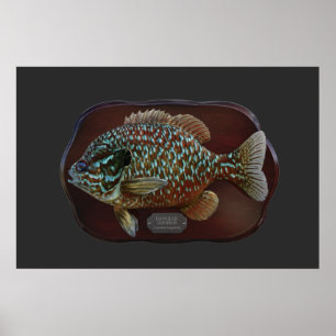 Poster Poisson long
