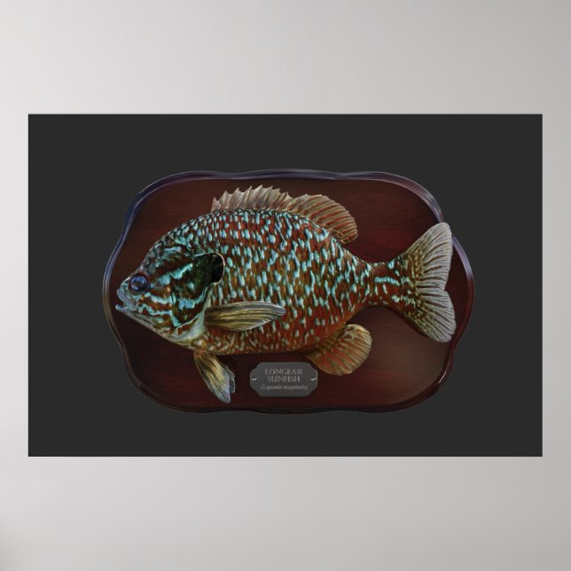 Poster Poisson long (Devant)