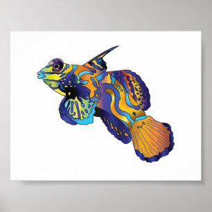Poster - Poisson mandarin