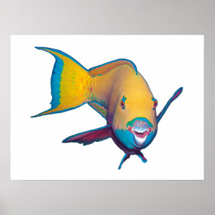 Poster Poisson perroquet - Conception abstraite - Découpé