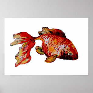 Poster Poisson rouge