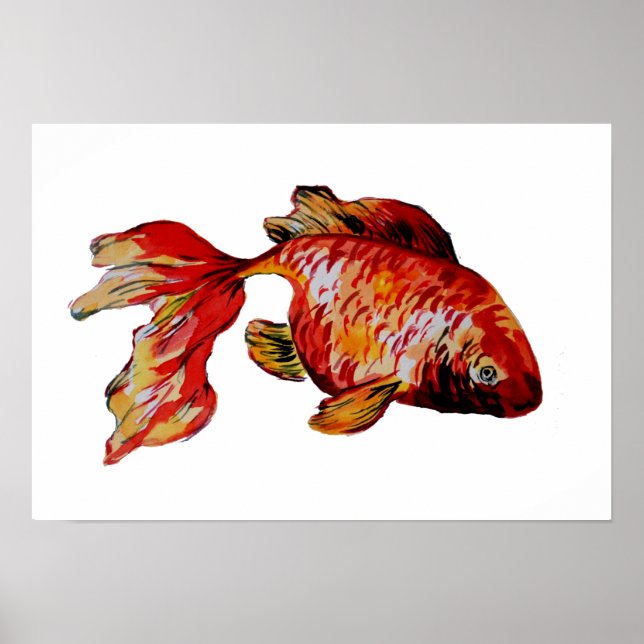 Poster Poisson rouge (Devant)