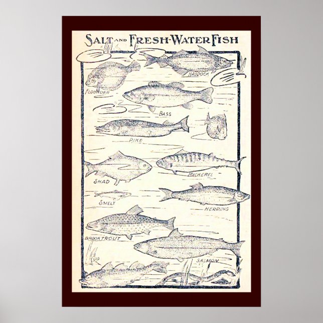 Poster Poisson salé et d'eau douce (Devant)