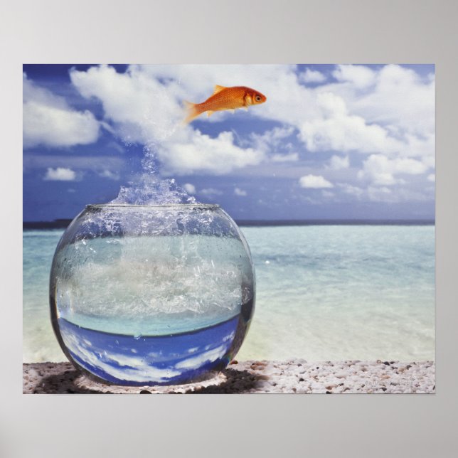 Poster Poisson sautant de l'aquarium (Devant)