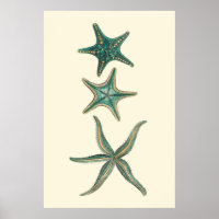 Poisson triplé aquamarine
