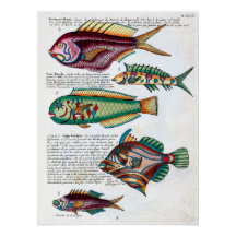 Poisson tropical