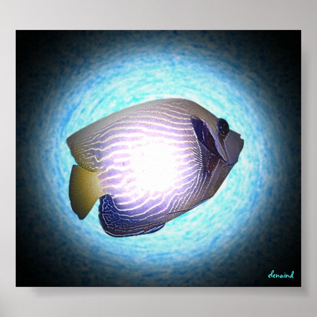 Poster Poisson tropical (Devant)