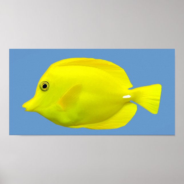 Poster Poisson Tropical Jaune Tang (Devant)