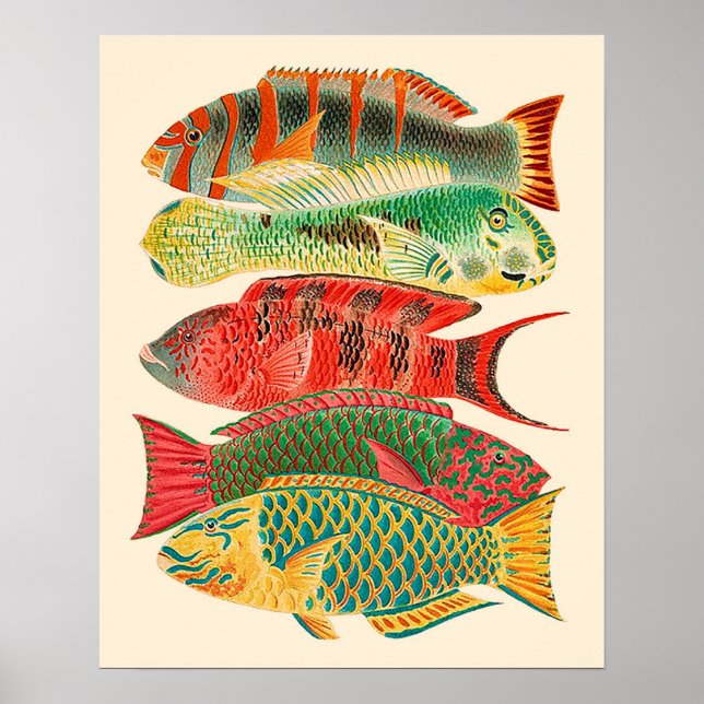 Poster poisson tropical vintage (Devant)
