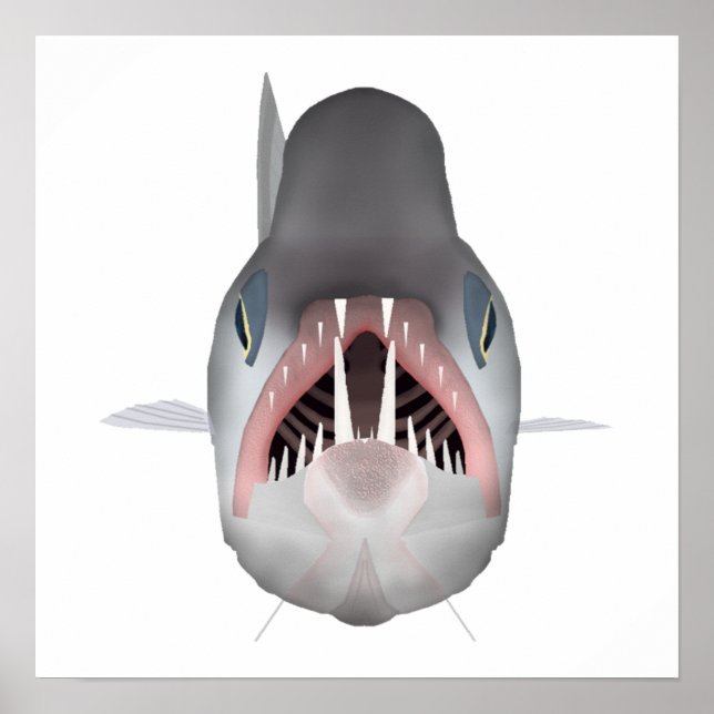 Poster Poisson Vampire - Tête de poisson (Devant)