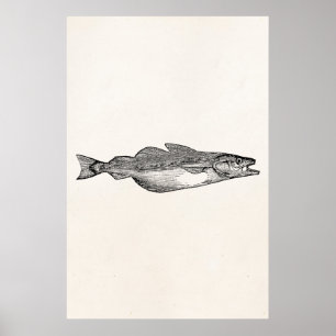 Poster Poisson vintage - Poisson aquatique Modèle