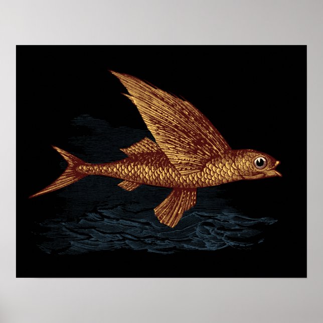 Poster Poisson volant (Devant)