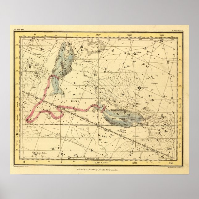 Poster Poissons (Devant)