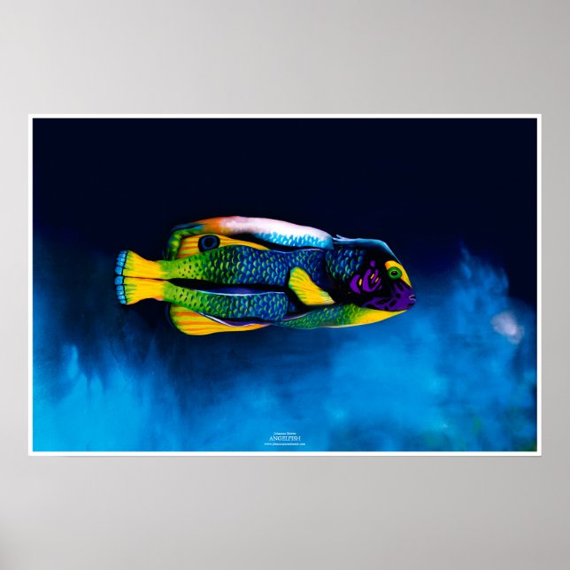 Poster Poissons-anges par Johannes Stötter (Devant)