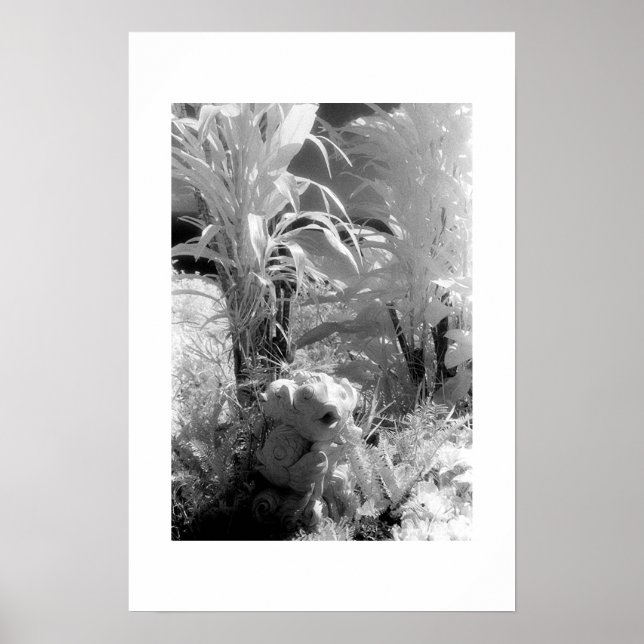 Poster Poissons au Jardin d'Eden (Devant)