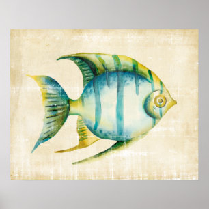 Poster Poissons bleus et jaunes d'aquarium
