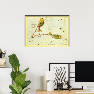 Poster Poissons, Constellation Vintage Urania's Mirror
