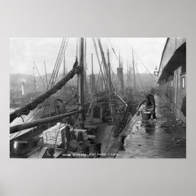Poster Poissons, Grimsby, début du 20e siècle (Devant)