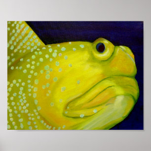 Poster Poissons jaunes de Goby de gardien