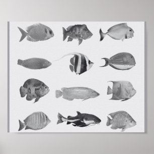 Poster Poissons tropicaux noirs et blancs Art imprimable