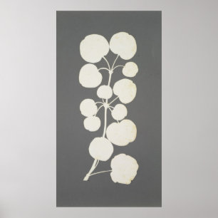 Poster Poivre de Cayenne